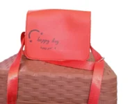 Stylish handbag